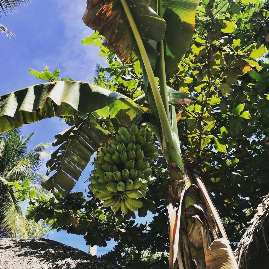 Lukay Resort Siargao เจเนอรัลลูนา ภายนอก รูปภาพ